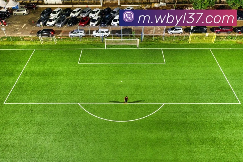 多彩内容专区